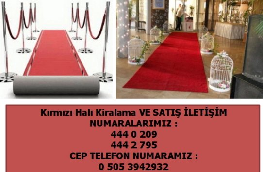 kırmızı halı